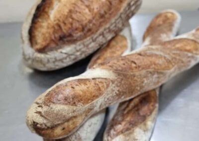 بهبود دهنده و غنی ساز آرد t400