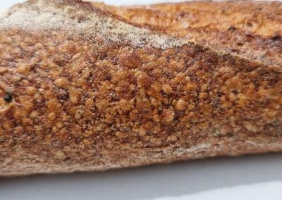 بهبود دهنده و غنی ساز آرد t400